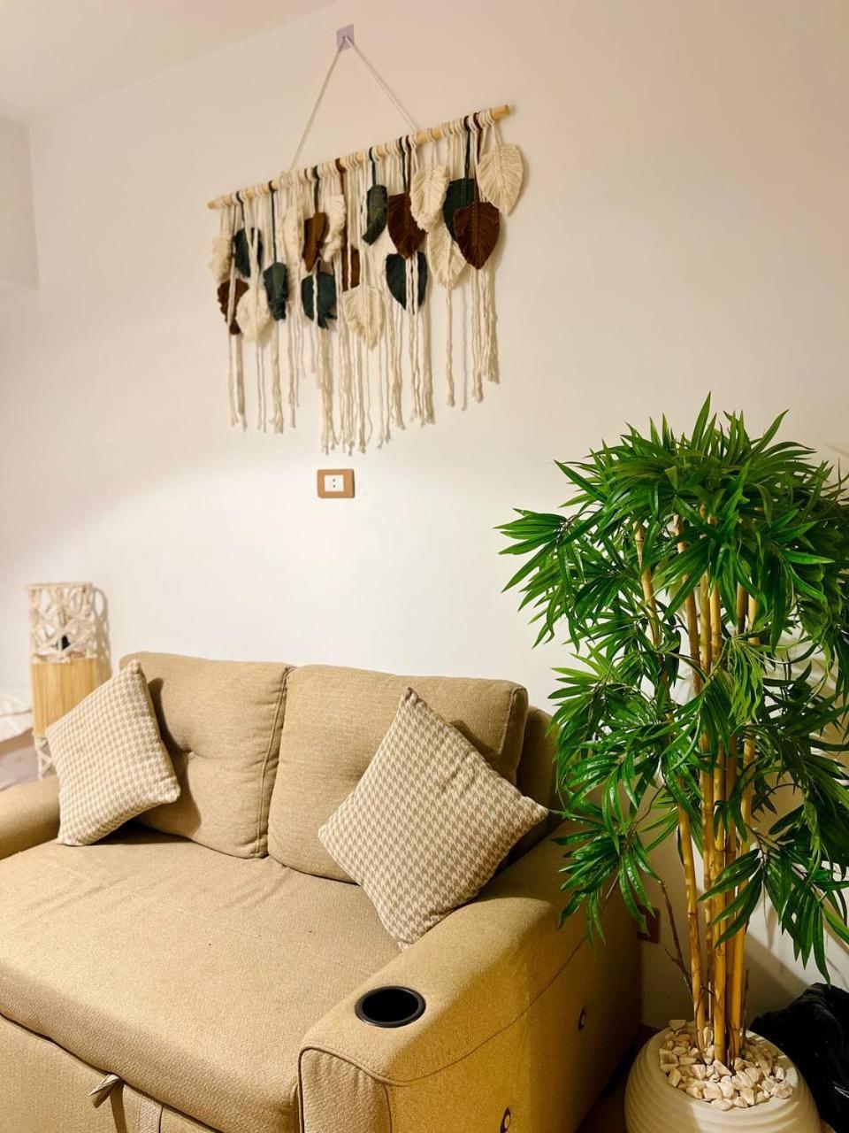 Paradise Studios Sheikh Zayed City المظهر الخارجي الصورة